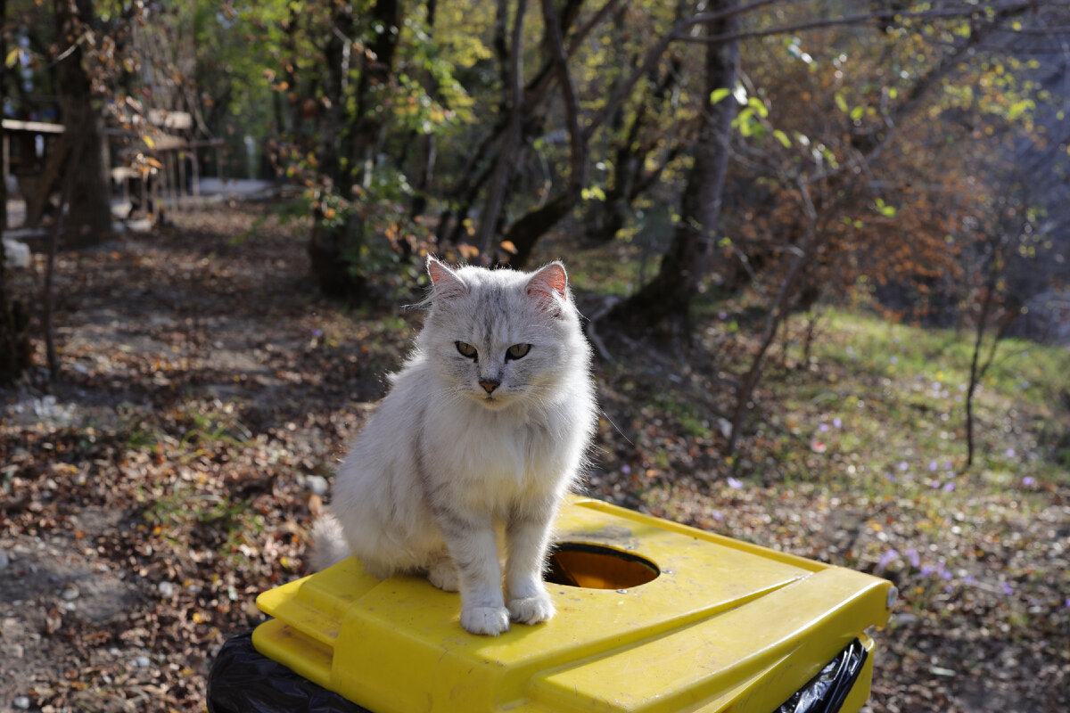 Фото автора Дзен канала "Пошли с Натали"