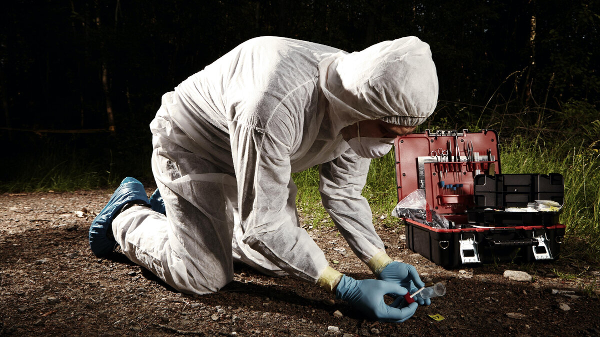 Фото из открытых источников