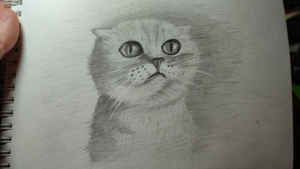 Этого котика я нарисовала за 2часа бесплатного марафона по рисованию с нуля