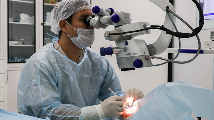 ФОТО: ПЕТРОВ СЕРГЕЙ/NEWS.RU/GLOBALLOOKPRESS