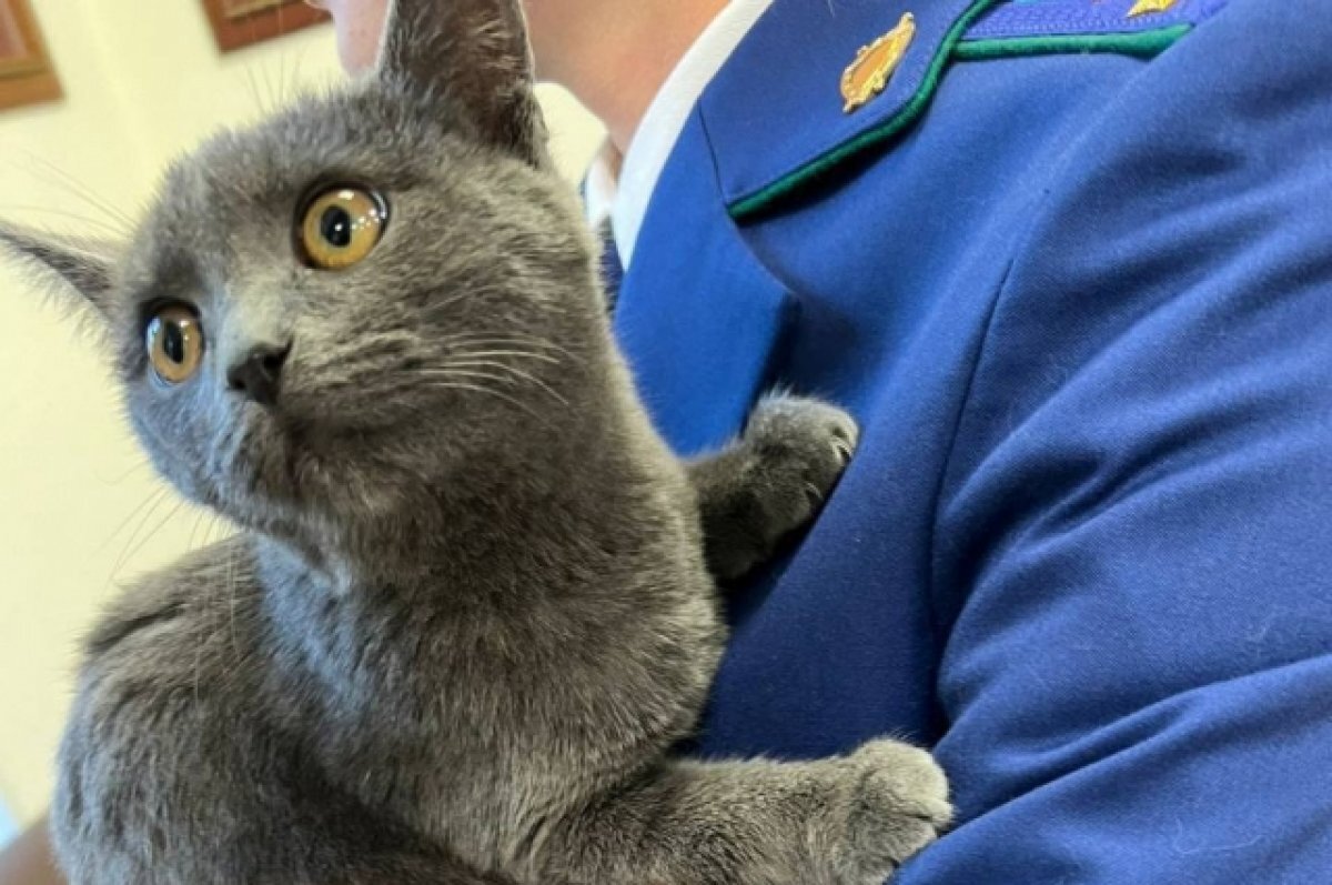    «Назовем его Тверок».