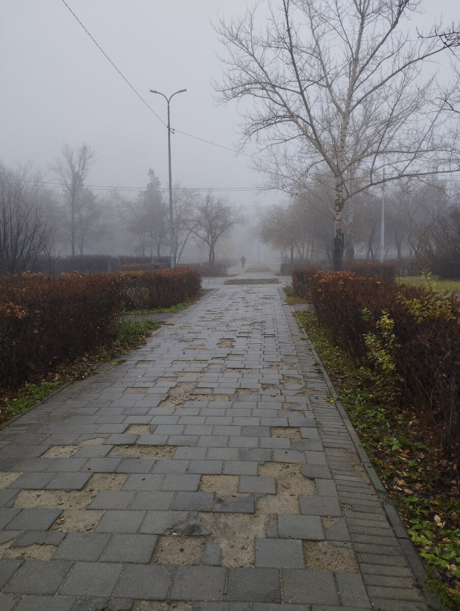 Мрачное утро. 