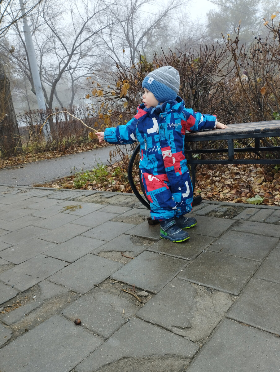 Мой ёжик в тумане. 