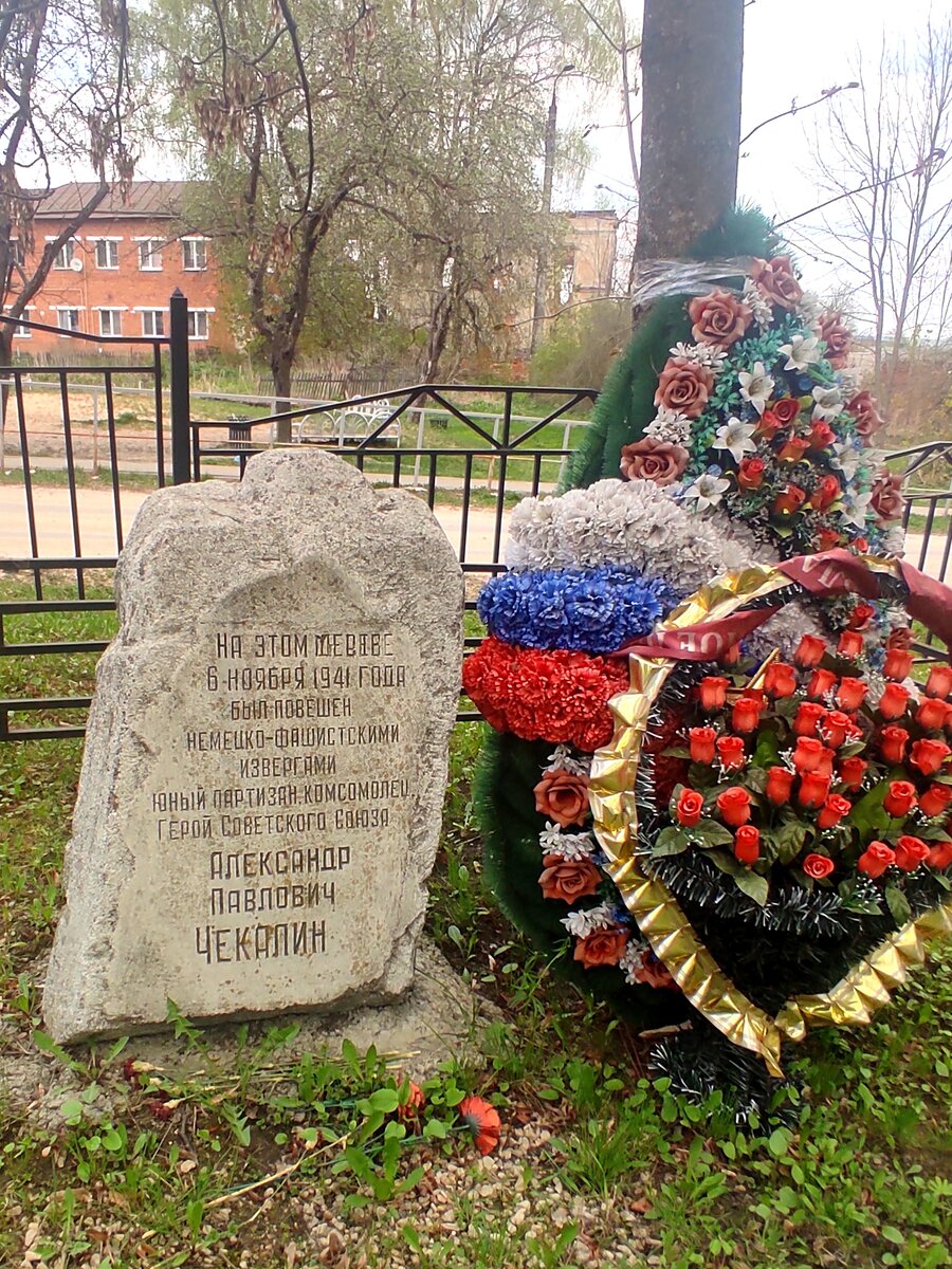 Александр Чекалин | Будни туриста | Дзен