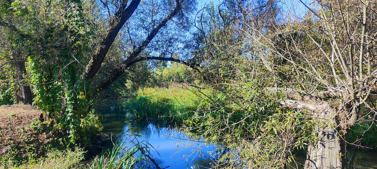 Нет подходящей фотографии, но с этим видом связаны мои летнии пробежки)