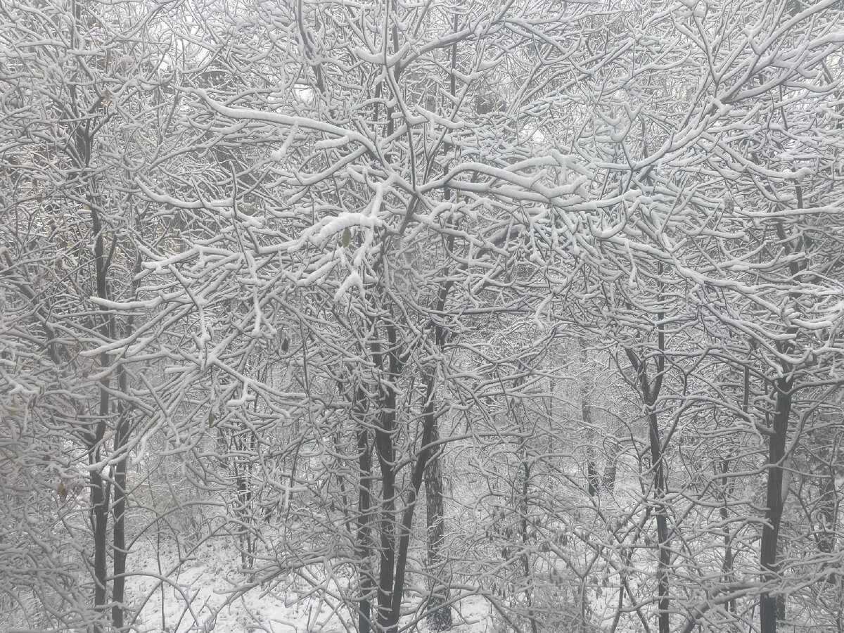 Заснеженное утро на Урале.