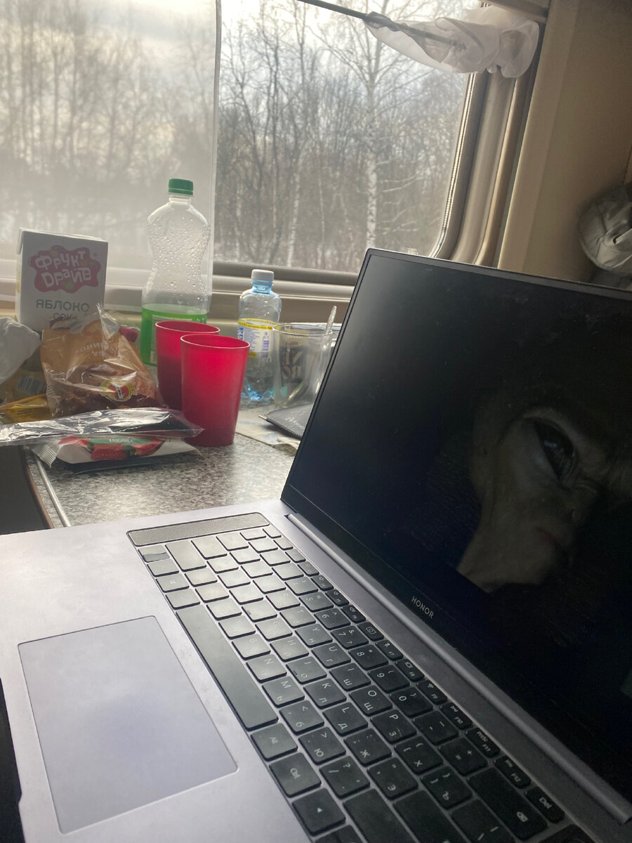 Романтика дороги. Смотрим «Пол: Секретный матерьяльчик»