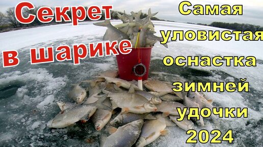 Самые популярные