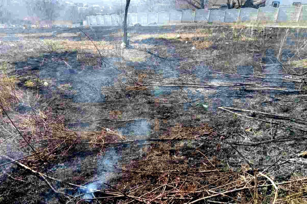 Пеньки в сгоревшем лесу. Цвет выгоревшей травы. Сгоревшая трава в поле. Выгоревшая картинка. Лес после пожара.