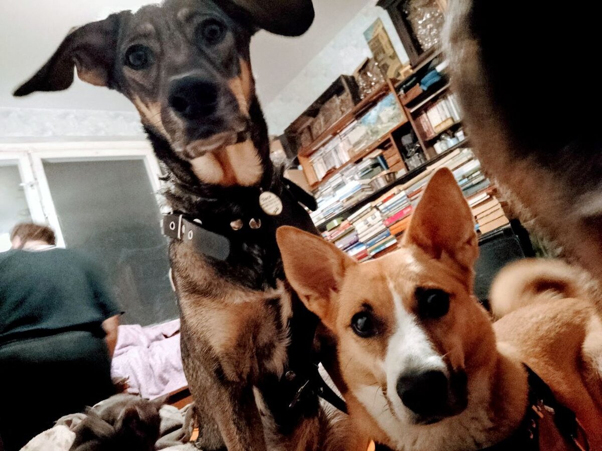 Тося и Алиса ждут завтрака