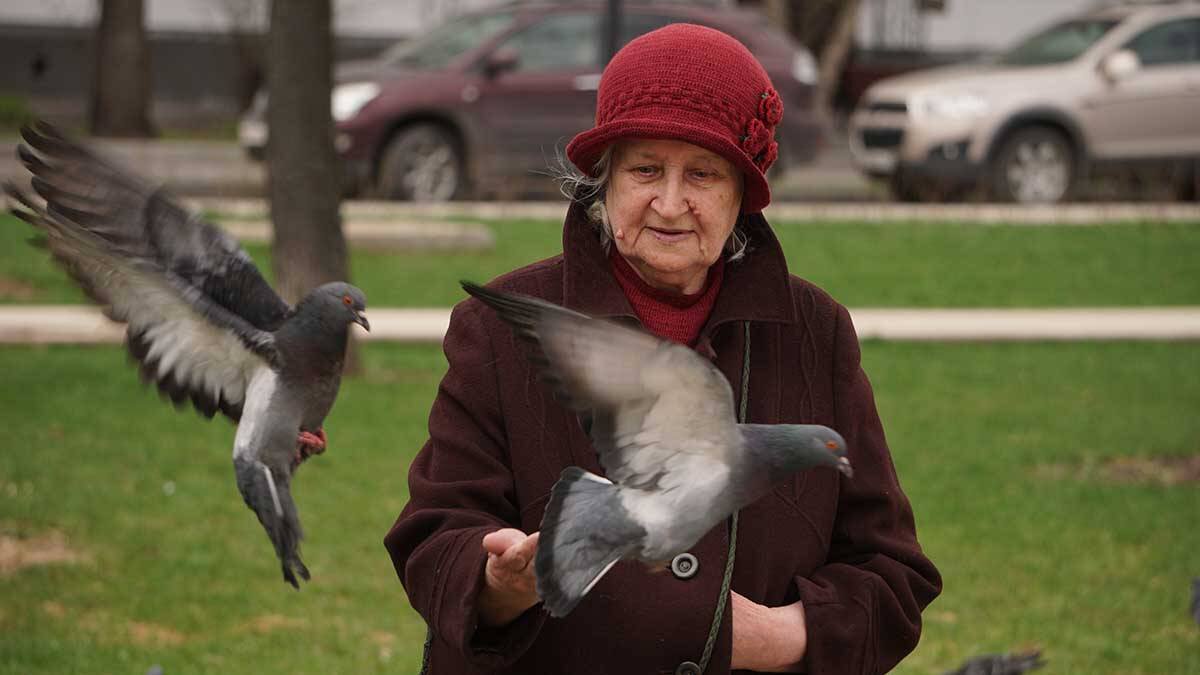    Фото: Анатолий Цымбалюк / Вечерняя Москва