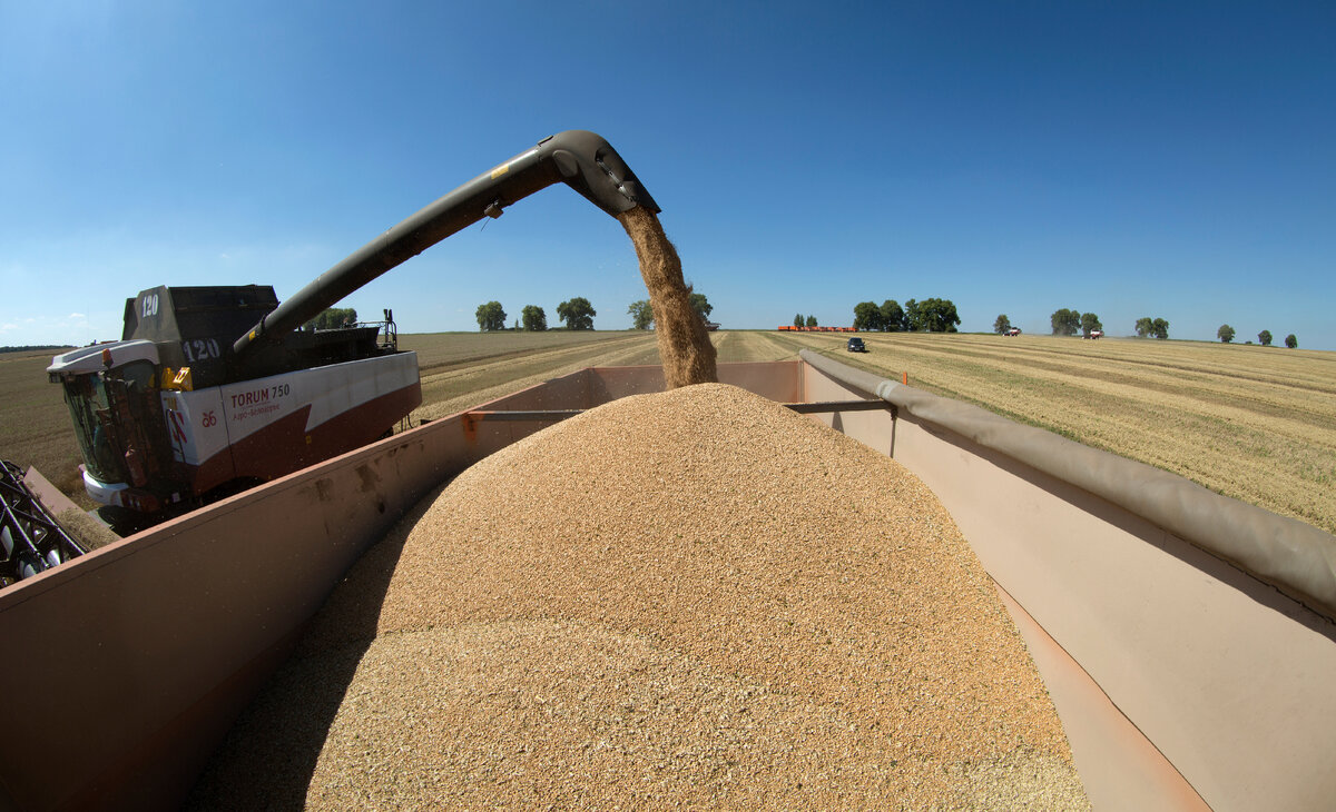 НИКОЛАЙ ГИНГАЗОВ/GLOBALLOOKPRESS 