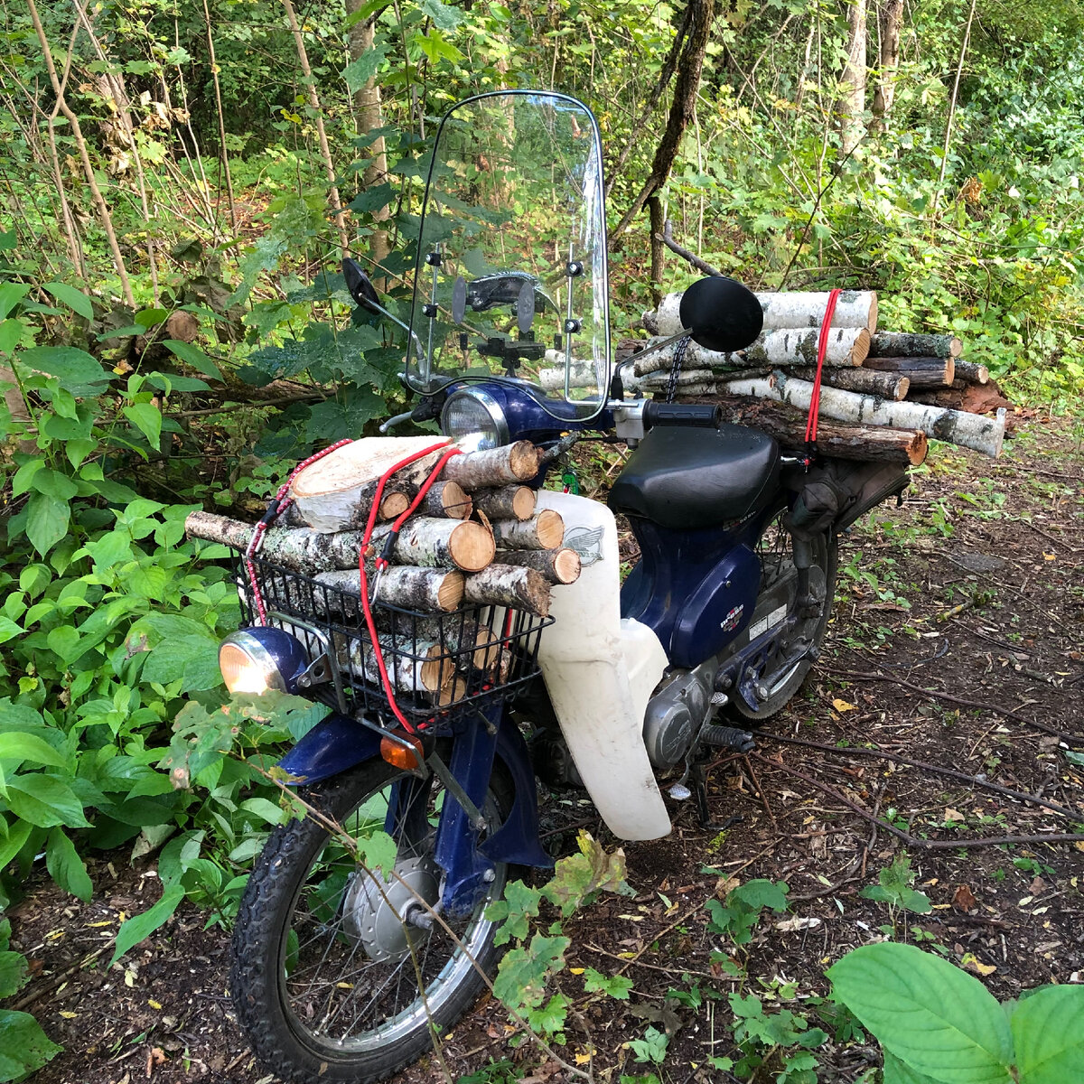 Каб-дрововоз!