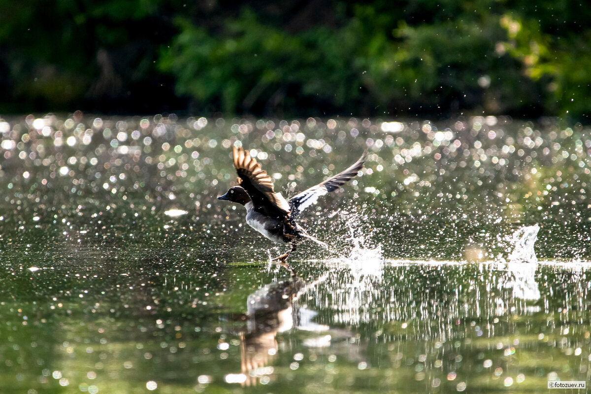 не важно, как тебя зовут: ты здесь еда... Путешествуем по России.  Тунгусская тайга. | fotozuev | Дзен