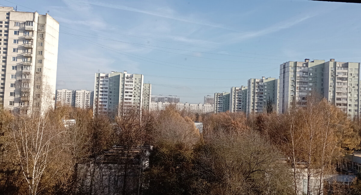 Утро 1 ноября 2023 г. Фото автора. Вид из окна.