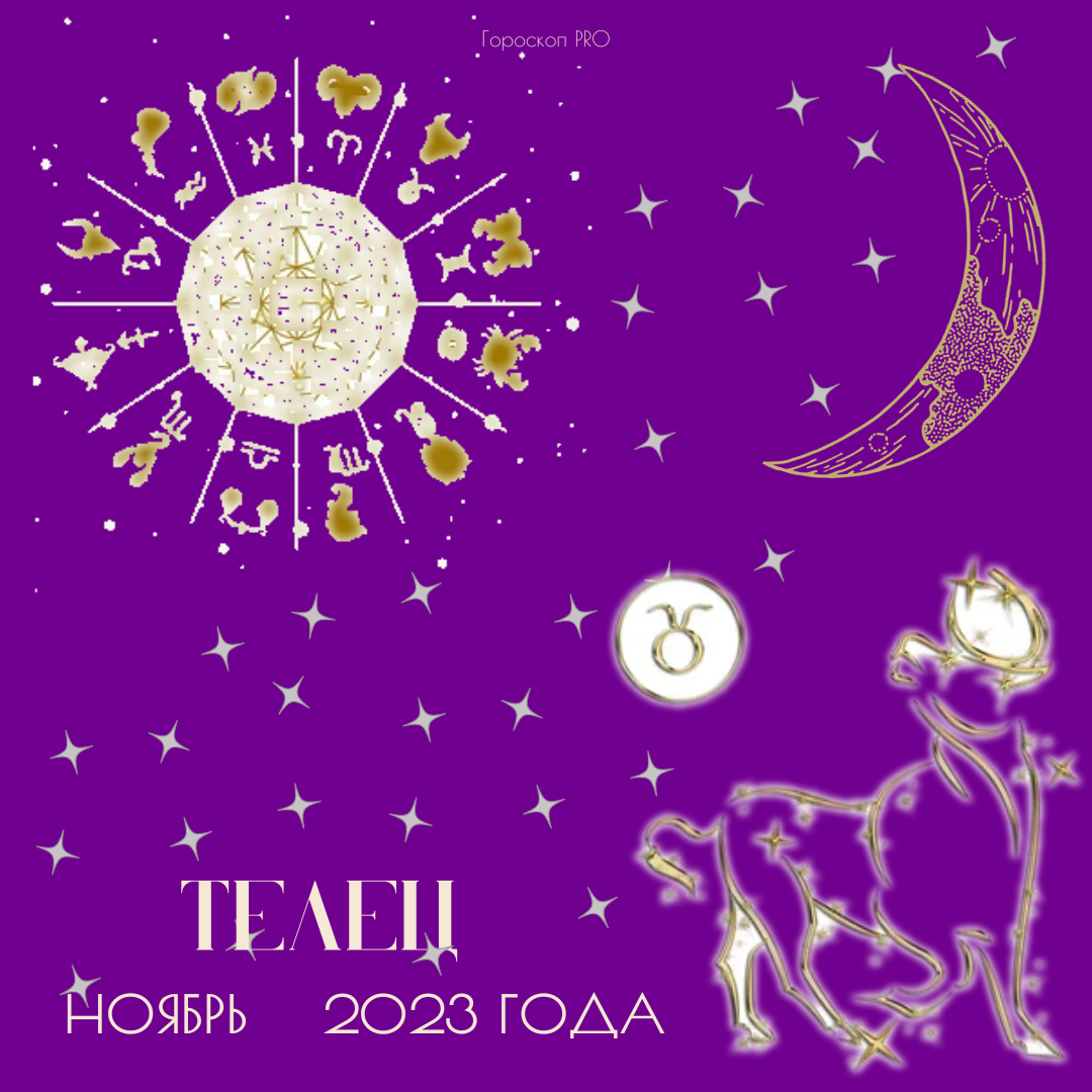 Телец прогноз на ноябрь. Телец прогноз на ноябрь