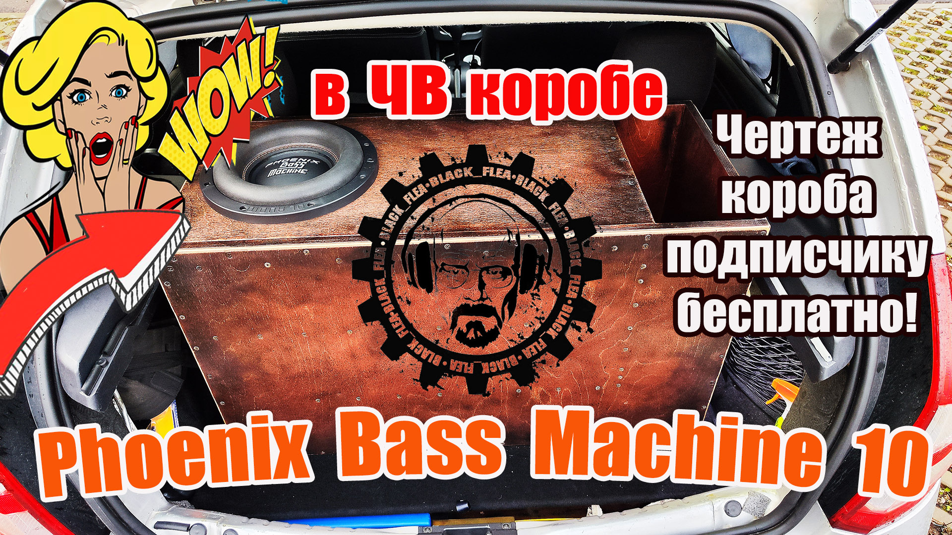 Phoenix Bass Machine 10 в ЧВ Коробе !!! Чертеж короба подписчику бесплатно!