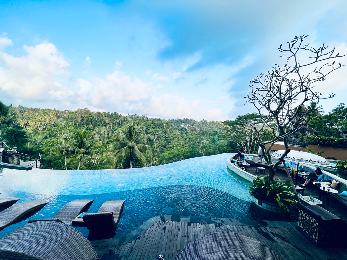 Вот такие виды