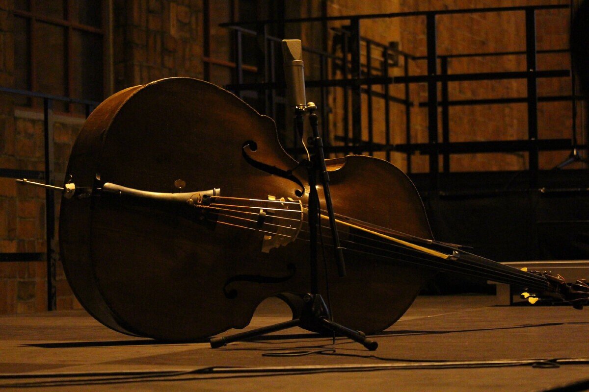 Виолончель музыкальный инструмент. Виолончель. Виолончель фото. Cello.