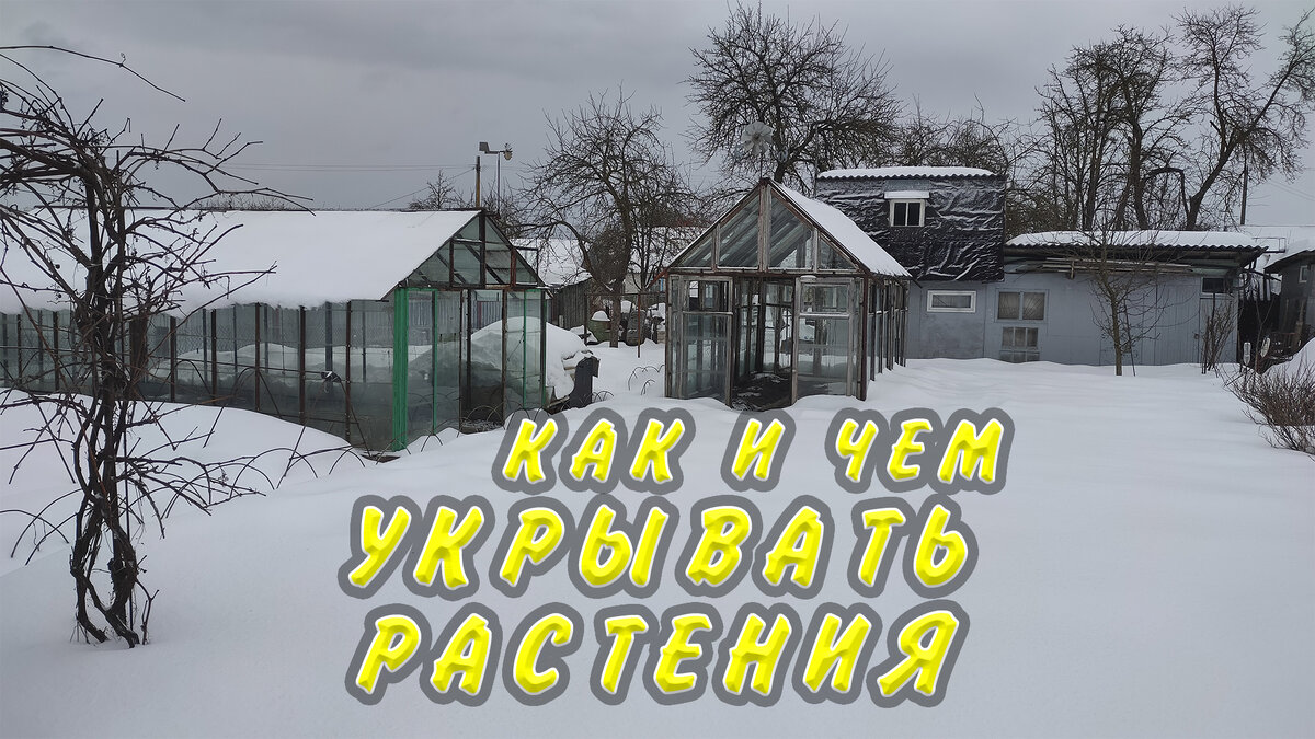 Фото автора. Захотел и сделал.