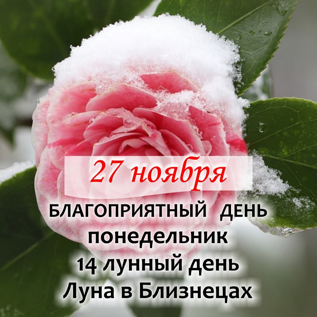 Близнецы, Весы, Водолей. Узнайте, в какие дни в ноябре вас ждет удача |  Гороскопы от Астролога | Дзен