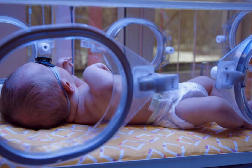   Anastasiia Ylitko, shutterstock