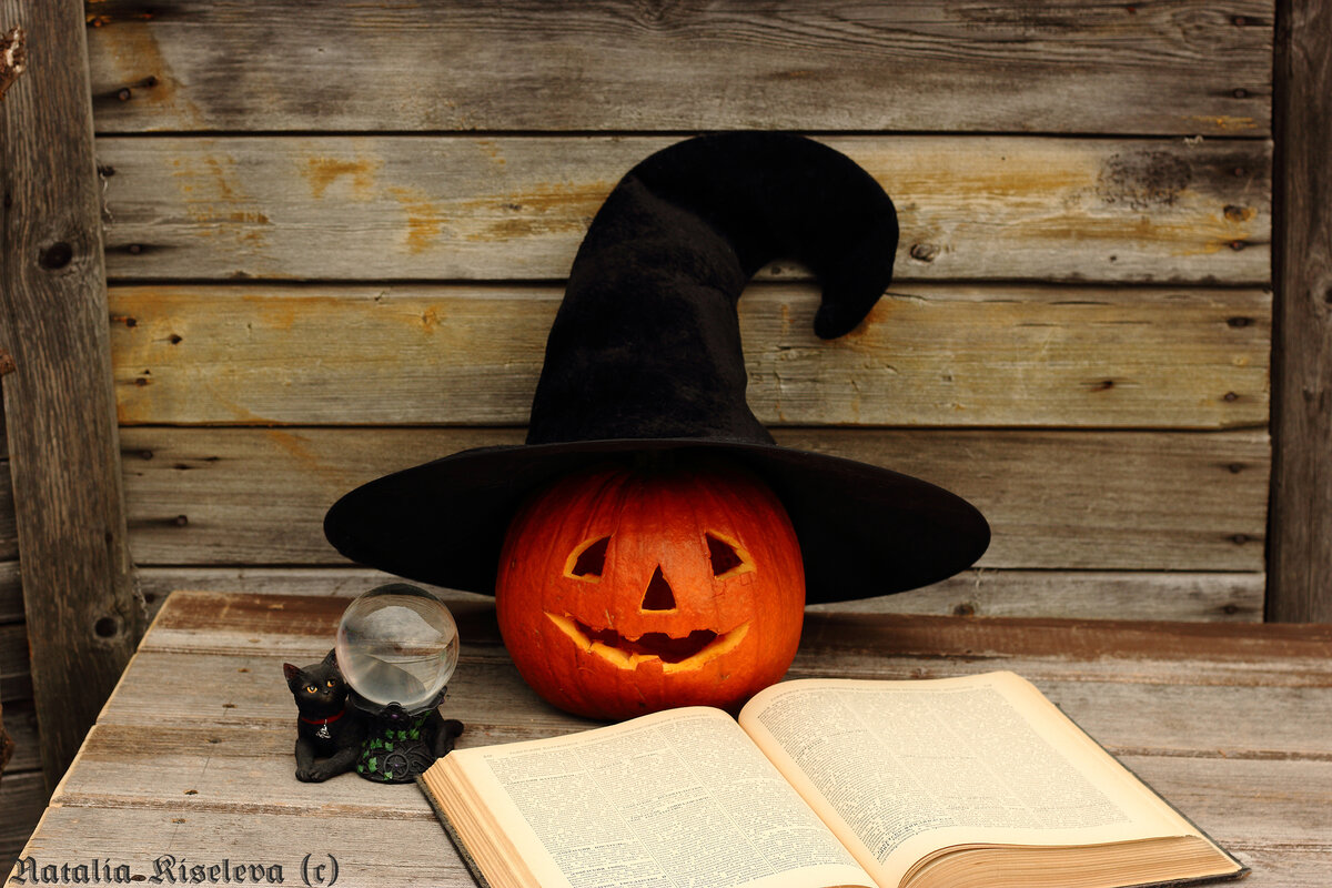 "Лучшие друзья"