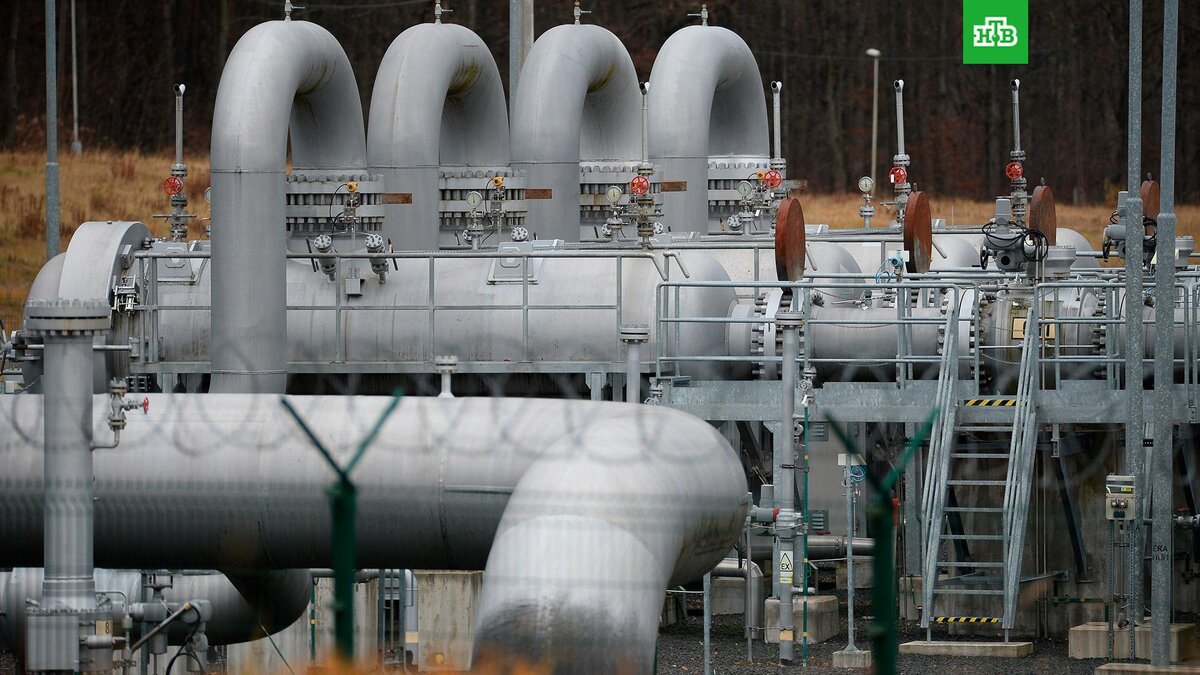    Фото: РИА Новости © 2023, Алексей Витвицкий