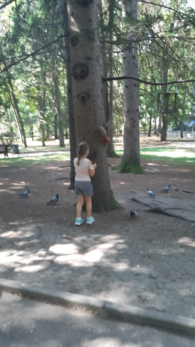 Друзья, не нашла подходящего фото, поэтому вот мой семейный архив. Младшая дочь кормит белку в кисловодском парке.
