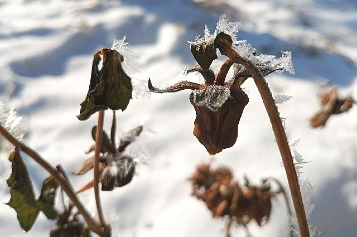    В Хабаровске похолодает до -15 градусов