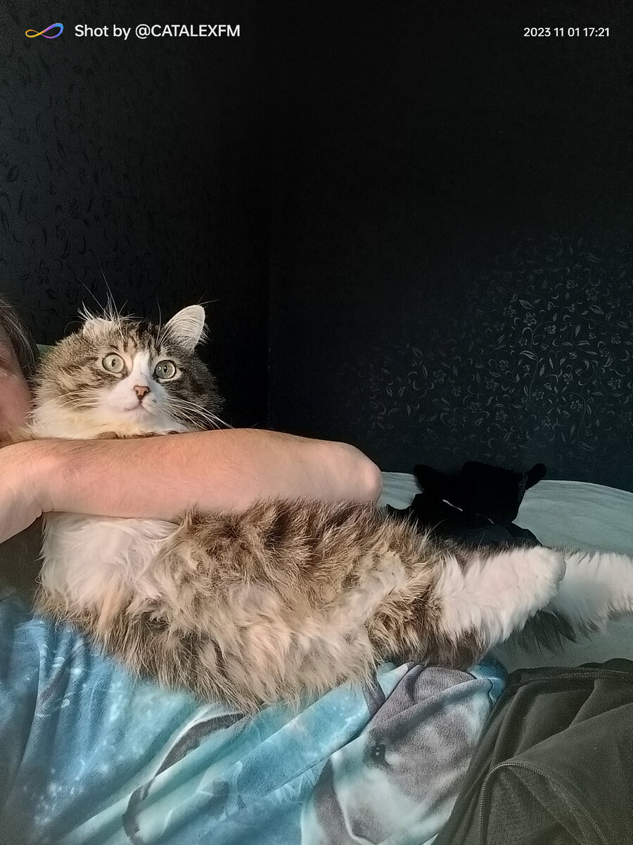 Селфи