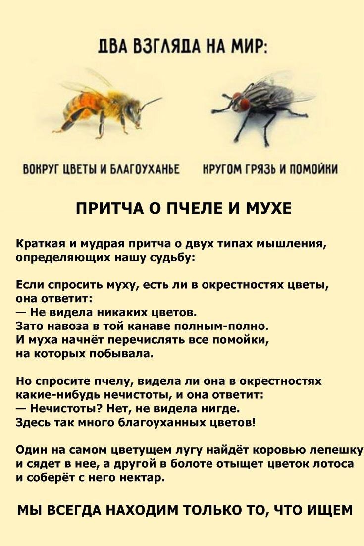 Притчи в работе психолога. | ПСИХОЛОГИЯ для Всех. | Дзен