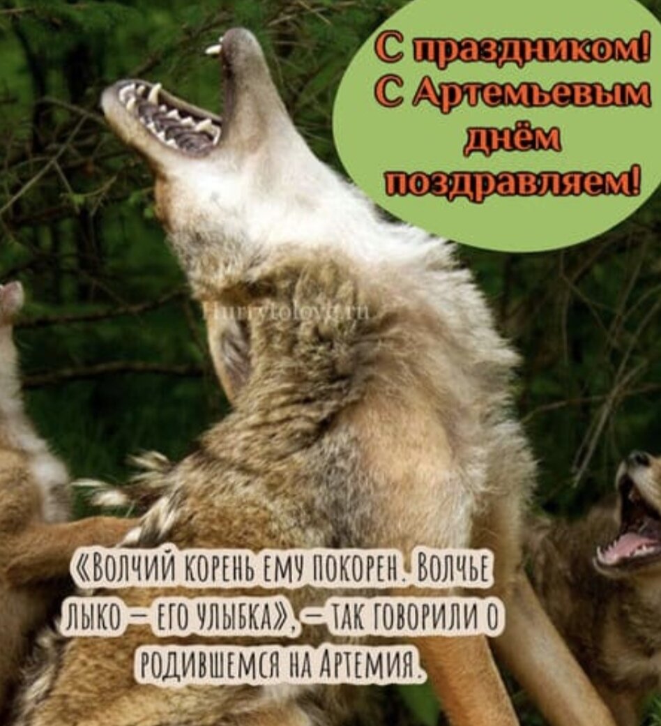 Артемьев день. Артемьев день открытки. Открытки Артемьев день 2 ноября. Артемьев день поздравления. 2 Ноября Артемьев день картинки с надписями красивые