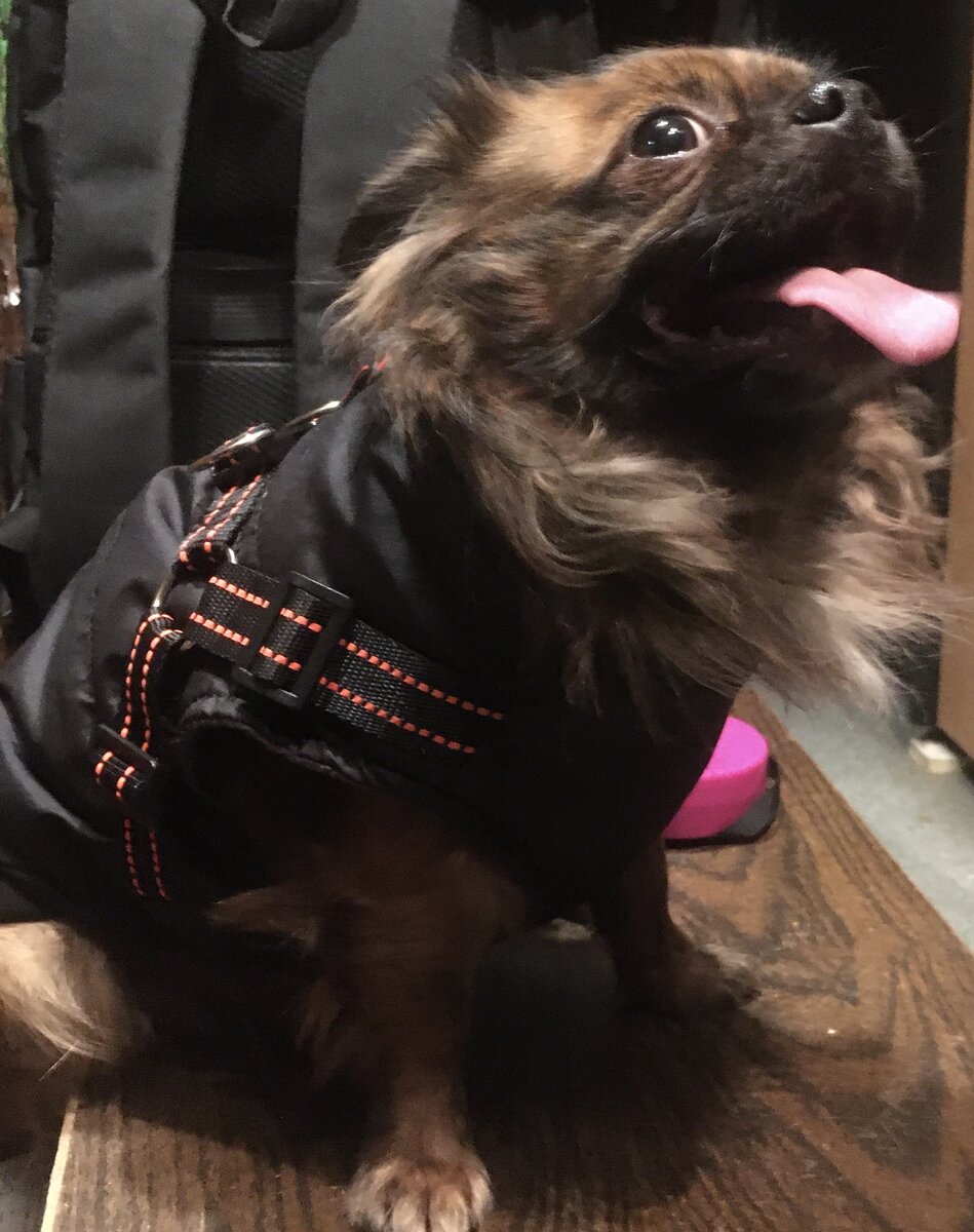 Личное фото 