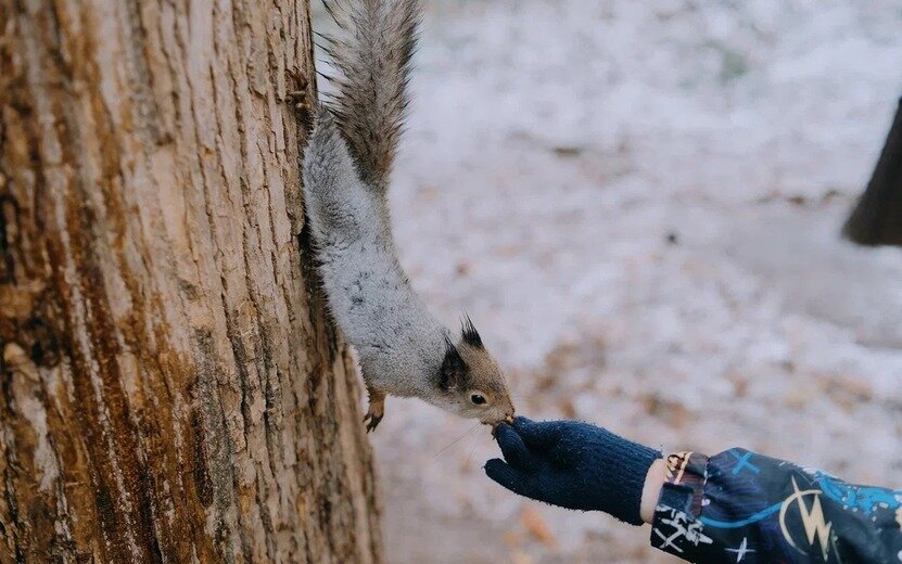    Новости Ижевска на утро 2 ноября: конкурс на ремонт перехода около УдГУ и конец навигации для лодок