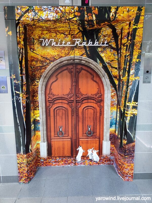 Ресторан White rabbit