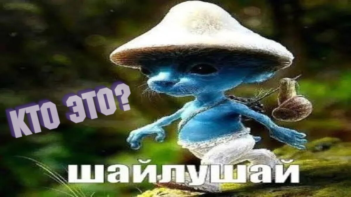 Шайлушай 