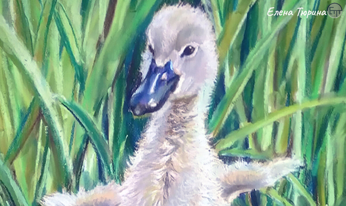 Художник Елена Тюрина. Фрагмент иллюстрации «Гадкий утенок». Сухая пастель. 2021.