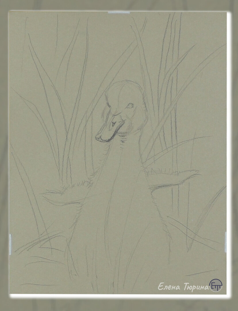 Художник Елена Тюрина. «Гадкий утенок». Сухая пастель. Размер: 42х30 см. 2021. Этап I