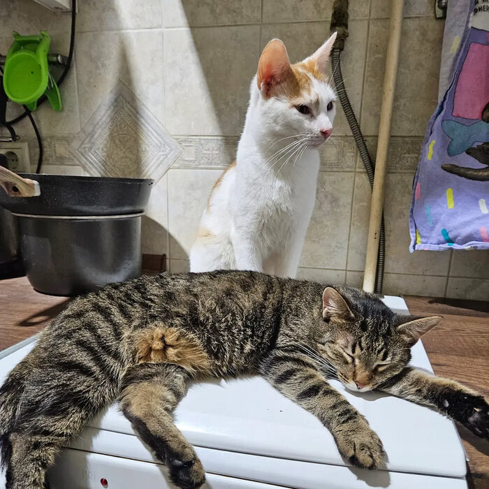 Листайте вправо, чтобы увидеть больше изображений