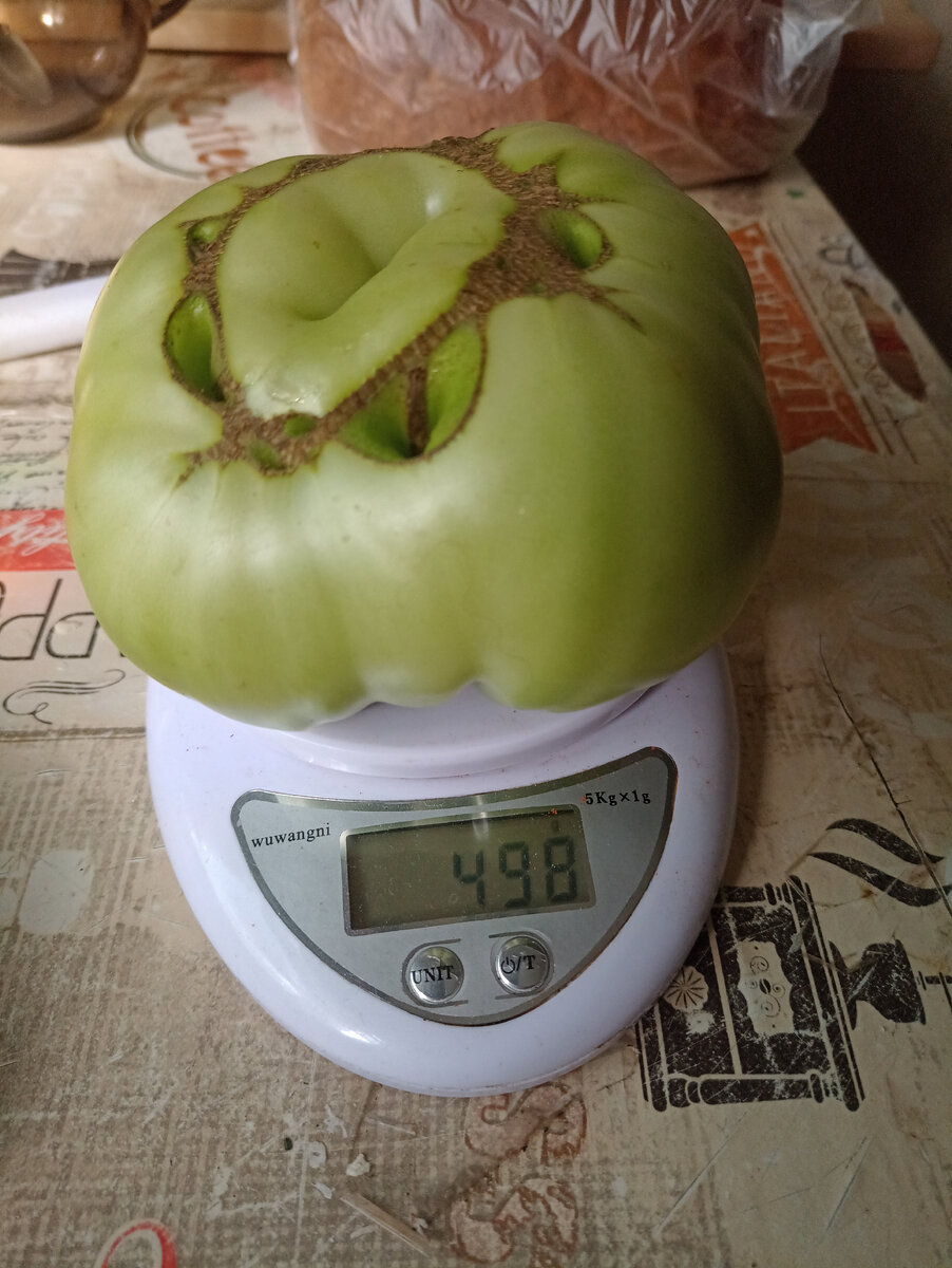 Моё 