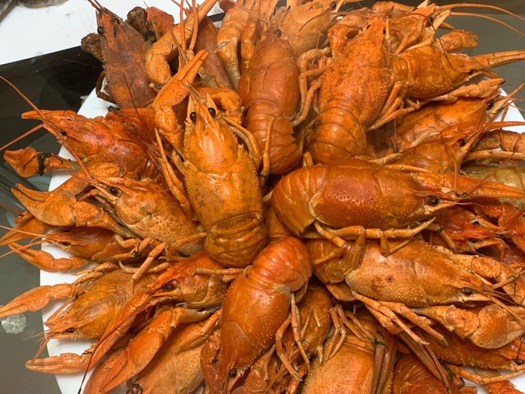Устроили себе вкусный вечер: поели раков и потом весело поиграли в покер. Сочетание огонь 🔥, всем рекомендую.