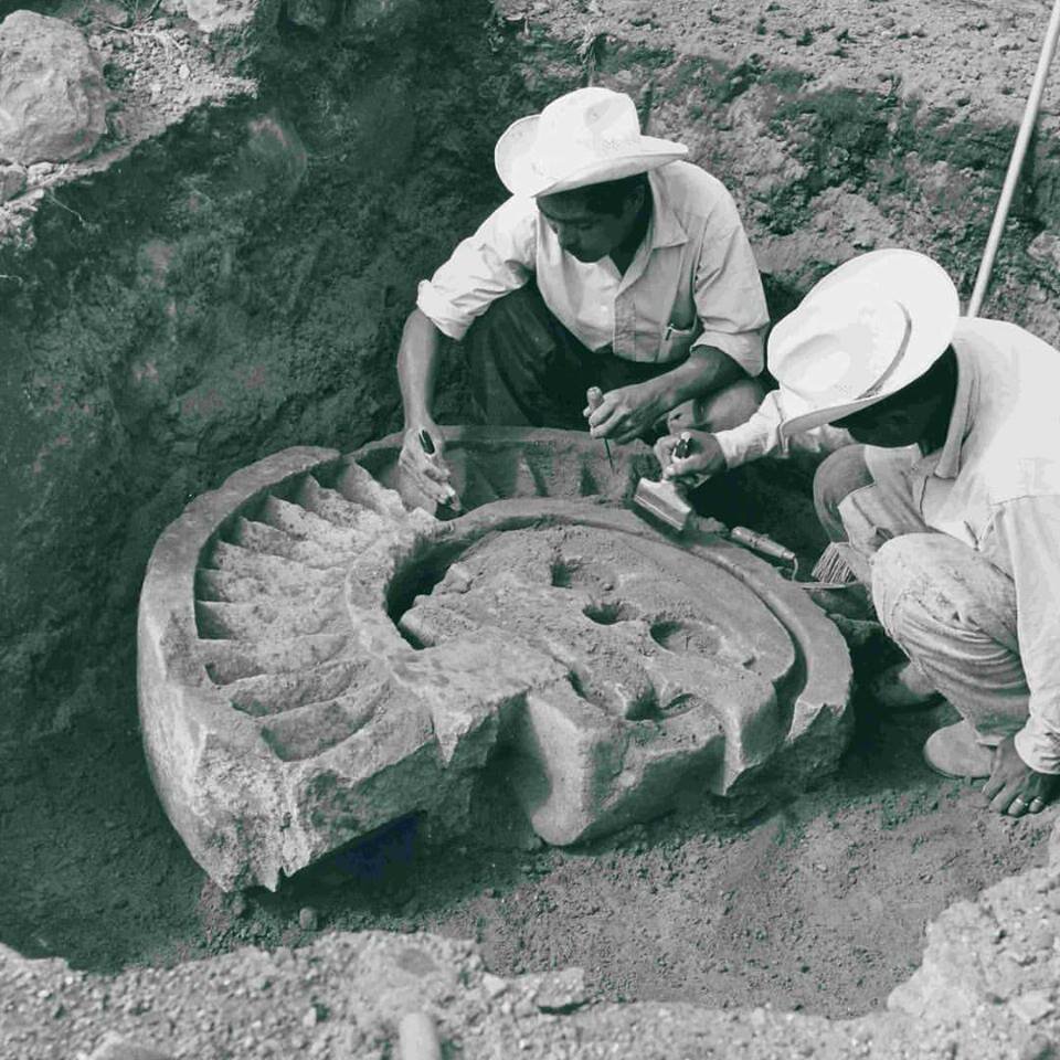 обнаружил цивилизацию