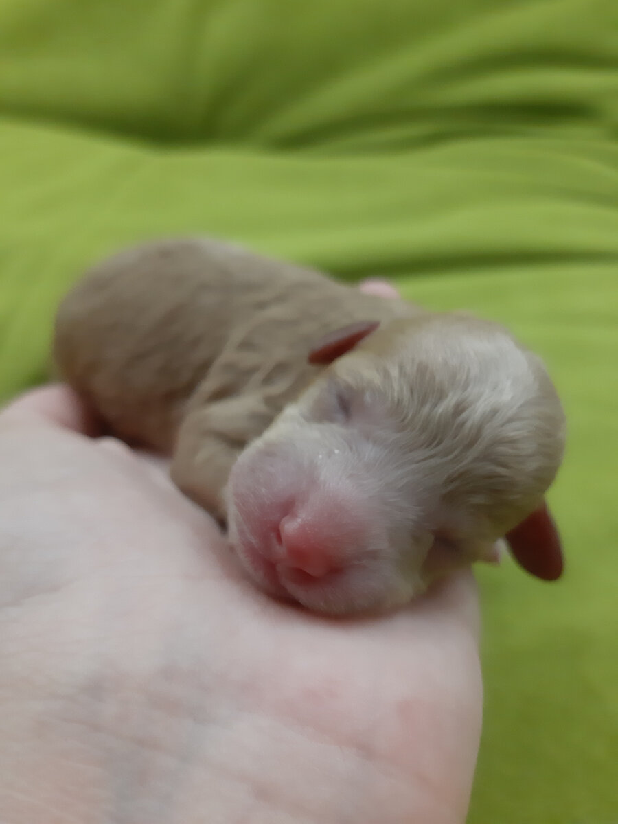 Только родился)