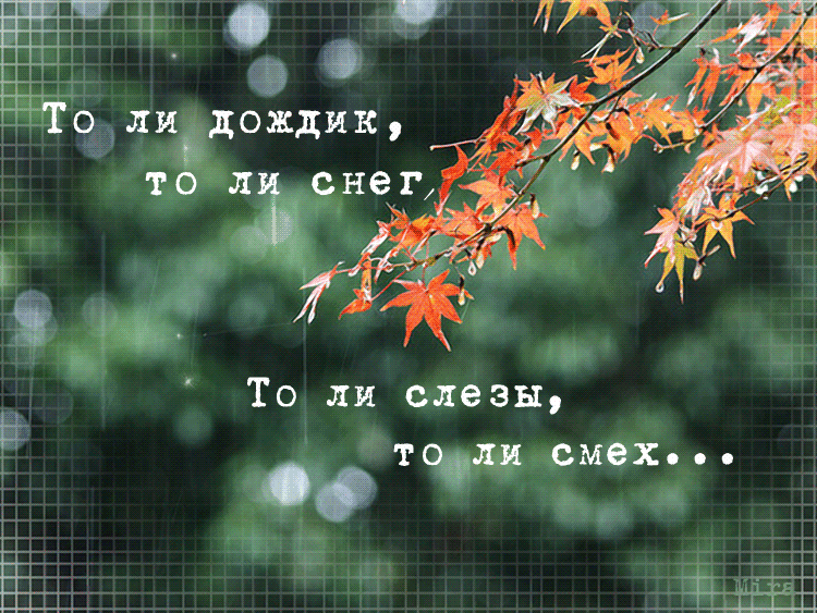 Яндекс картинки