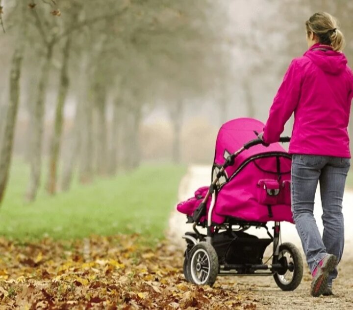 Из открытого доступа