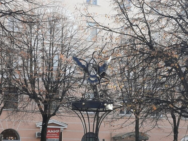     Фото: "МК в Калуге"