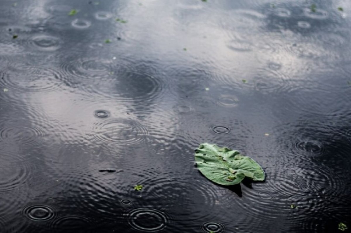    В Краснодарском крае 3 и 4 ноября объявлено штормовое предупреждение