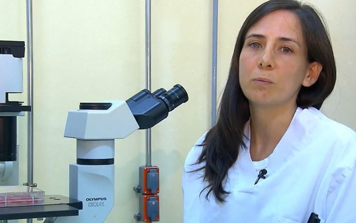    У эпизоотической геморрагической болезни и блютанга есть много общего, включая разработку вакцин