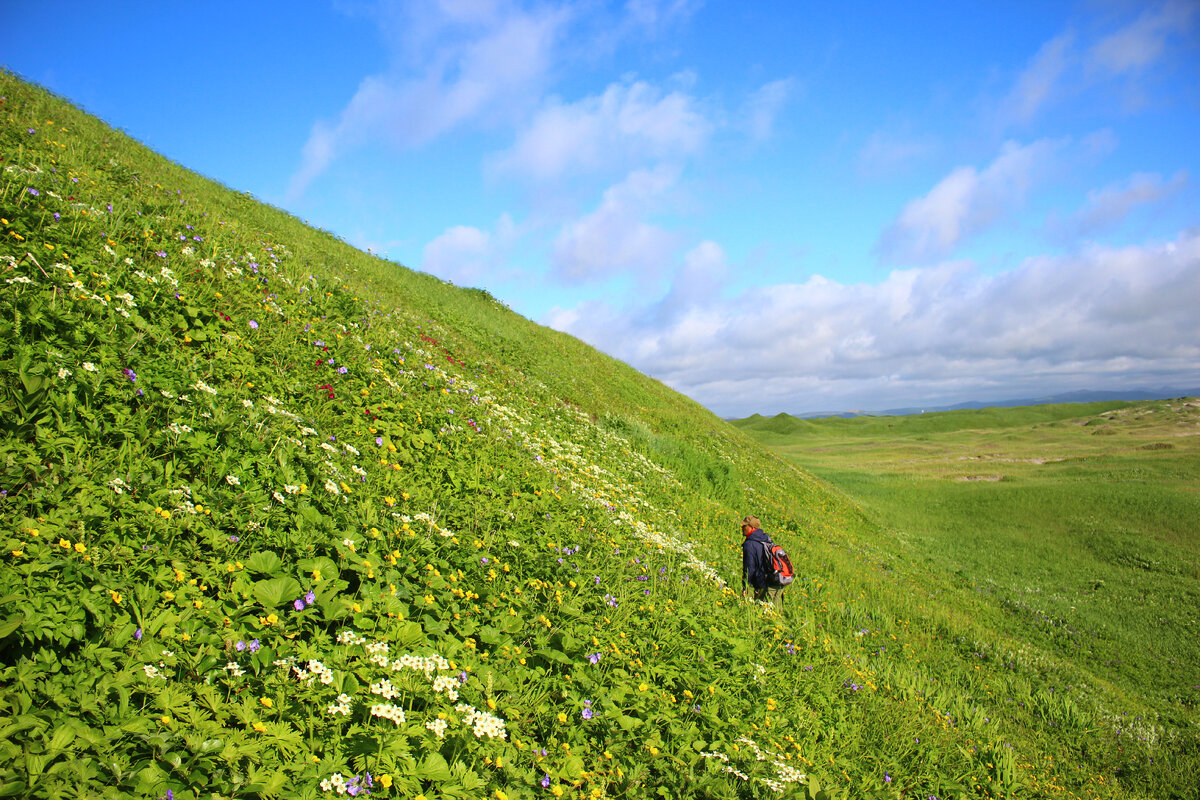Остров Беринга, окрестности поселка Никольское